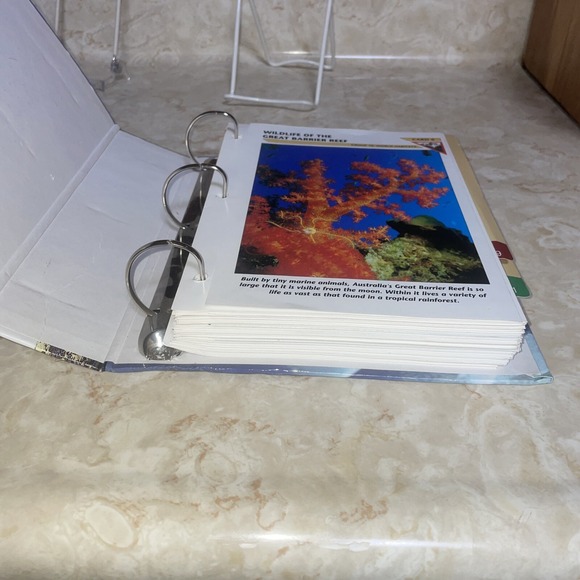 wildlife fact file Sections 6-11, Roughly 350 Cards - Picture 5 of 15